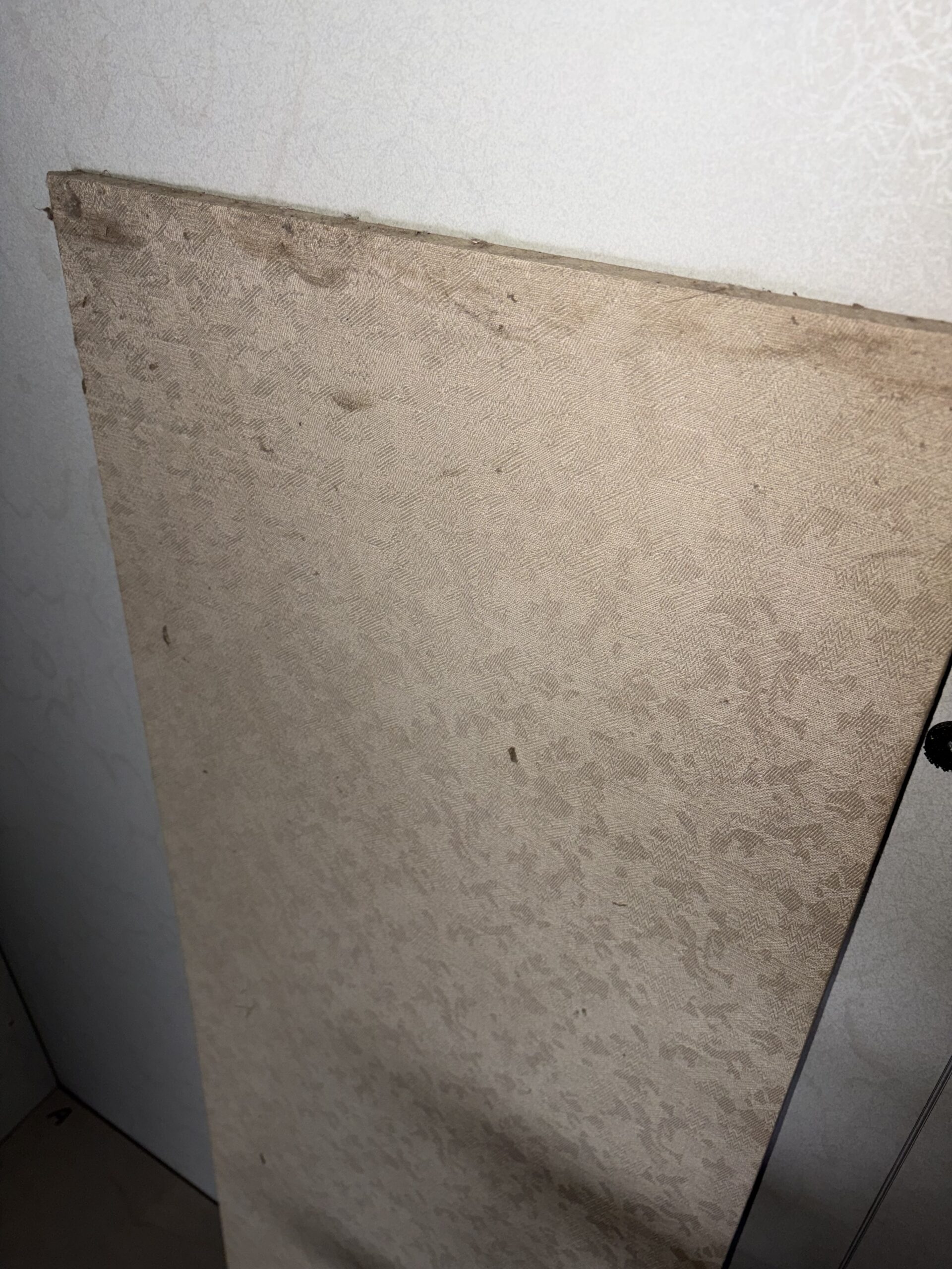 【セフィーネII】の解体前吸音板汚れ写真