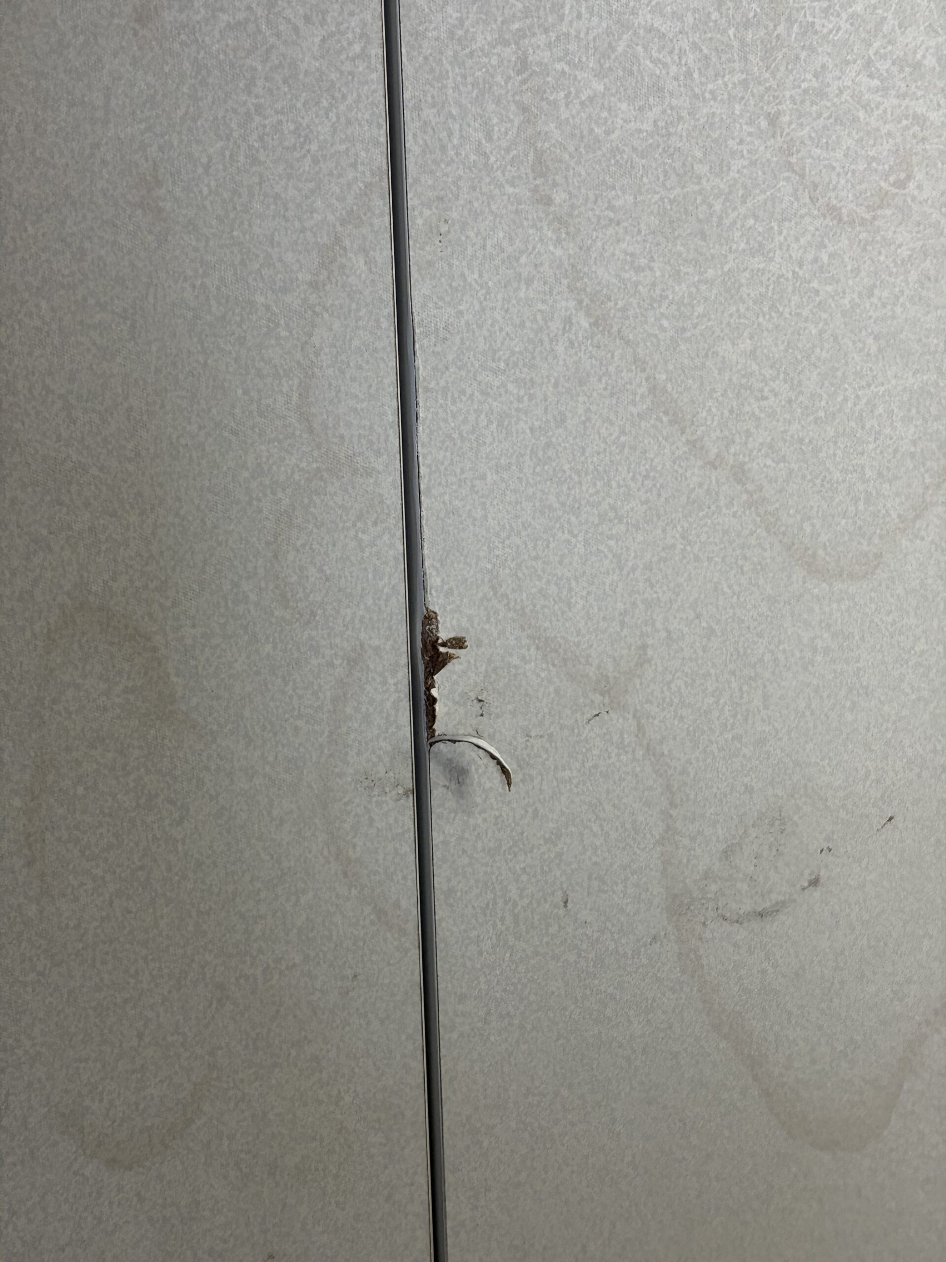 【セフィーネII】の解体前の傷写真