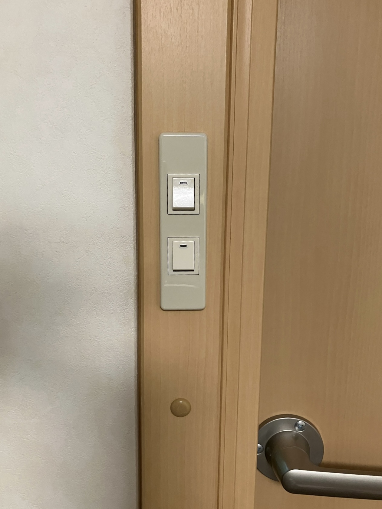 カワイナサールのスイッチ